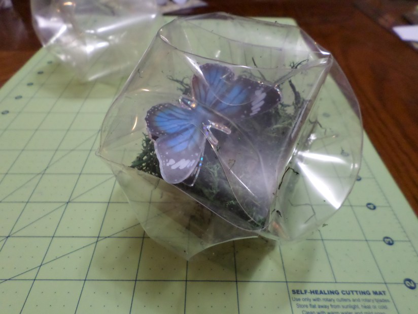 SAMSUNG CAMERA PICTURES