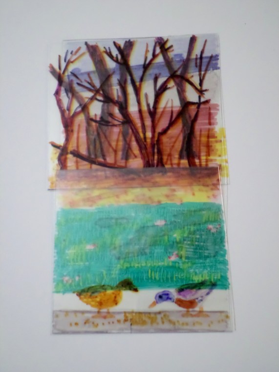 SAMSUNG CAMERA PICTURES