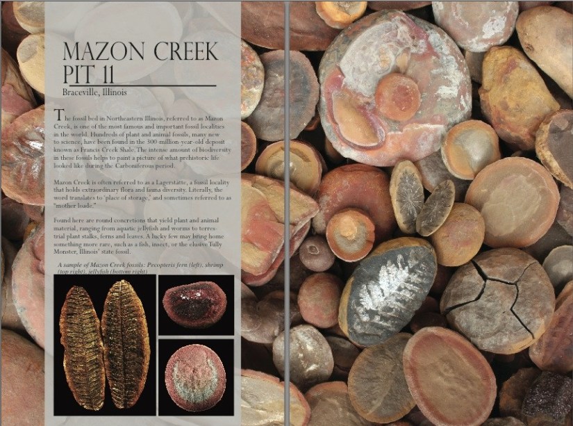 Mazon-Creek-Fossils
