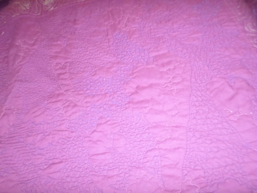 SAMSUNG CAMERA PICTURES