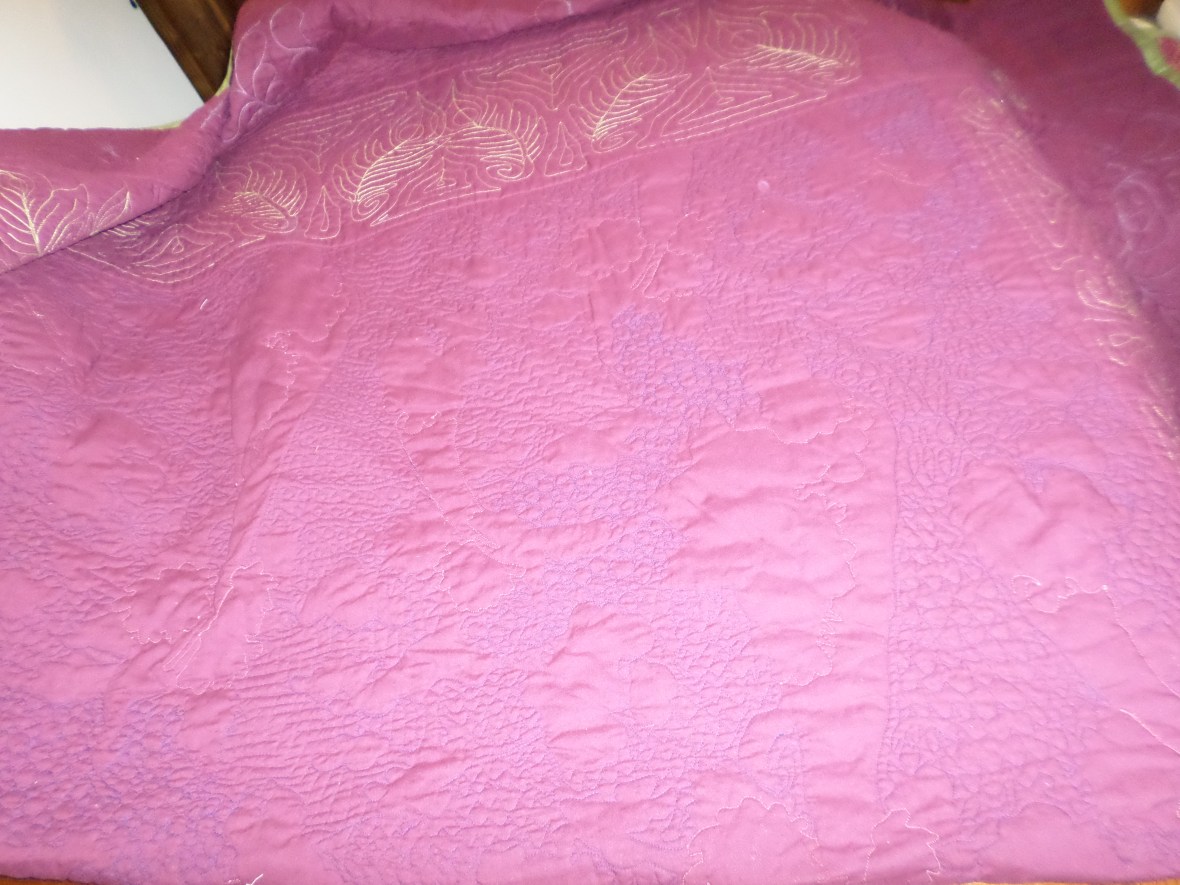 SAMSUNG CAMERA PICTURES