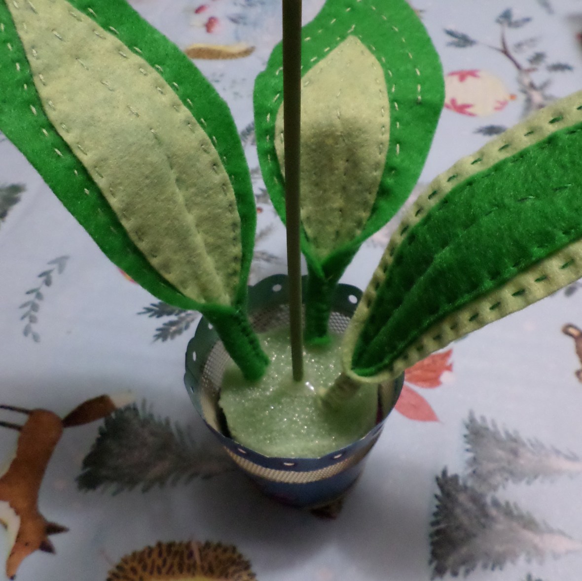 SAMSUNG CAMERA PICTURES